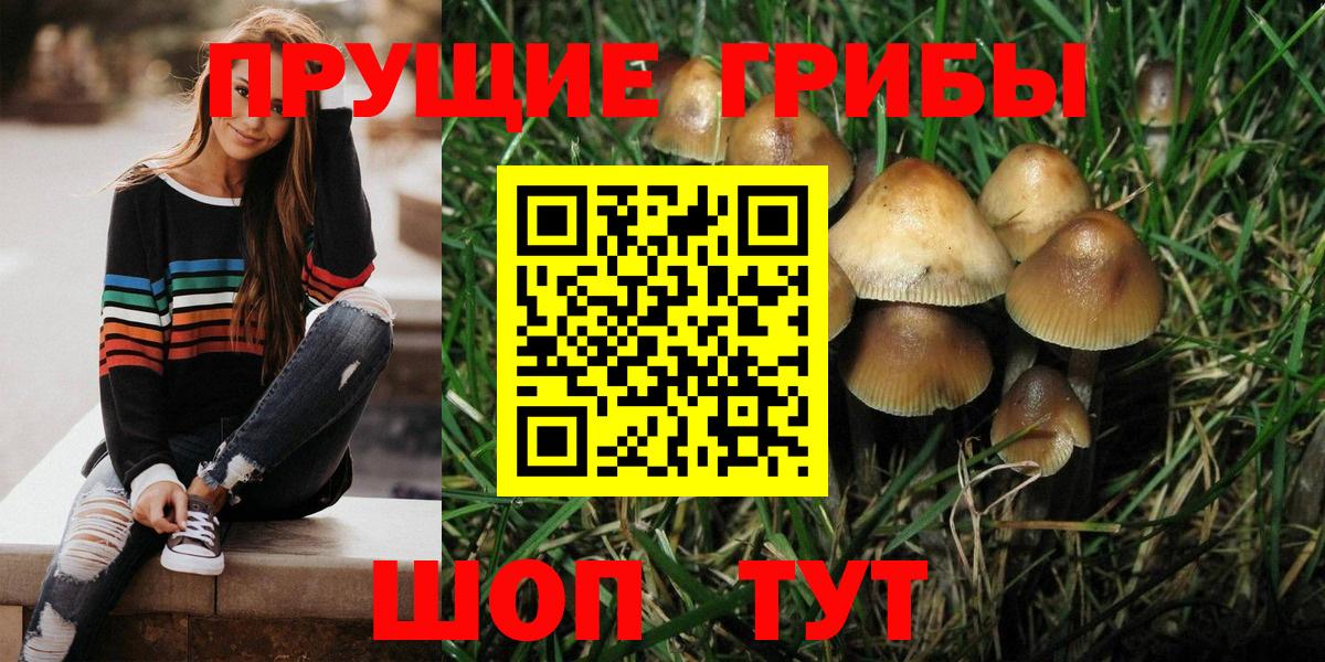 Псилоцибиновые грибы GOLDEN TEACHER Азнакаево