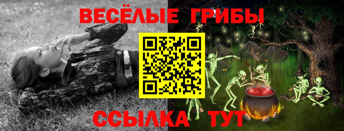Азнакаево  Галлюциногенные грибы GOLDEN TEACHER  Галлюциногенные грибы прущие грибы  Вход с VPN 